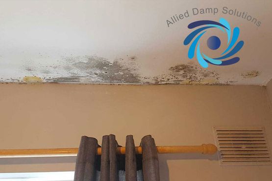 Mould Treatment Dublin