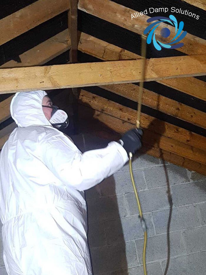 Woodworm contractor 