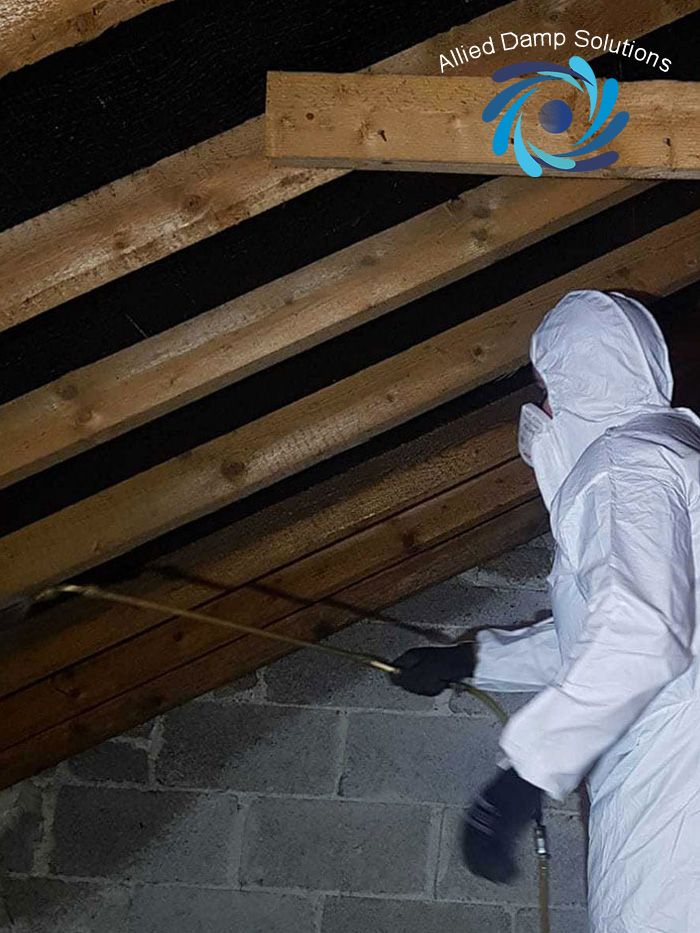 Woodworm treatment in progress 
