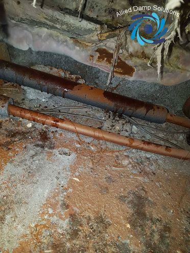 Dry Rot Due To Leaking Pipes 