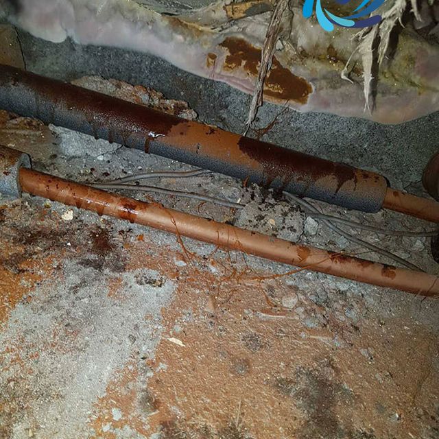 Dry Rot Due To Leaking Pipes 