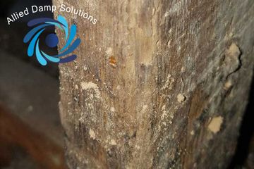 Woodworm Specialists Dublin