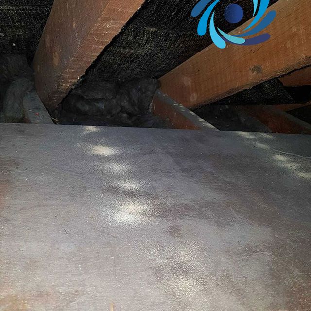 Evidence of An Active Woodworm Attack In An Attic