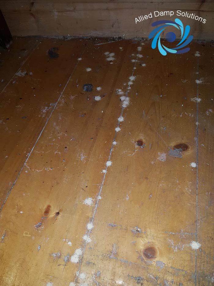 Allied Damp Solutions