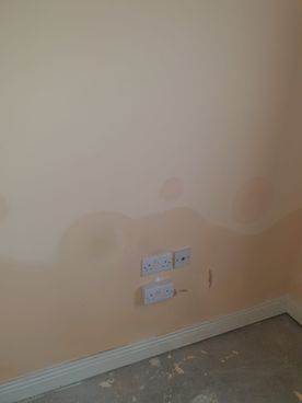 Allied Damp Solutions