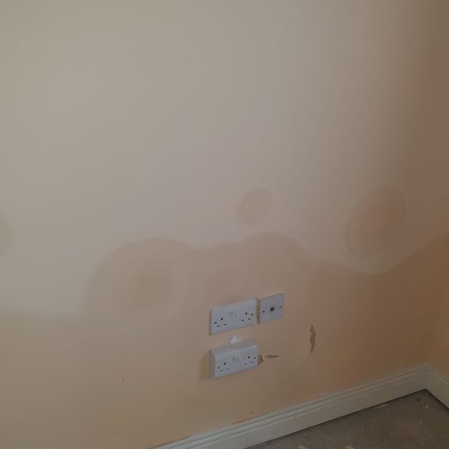 Allied Damp Solutions