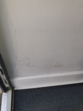 Allied Damp Solutions