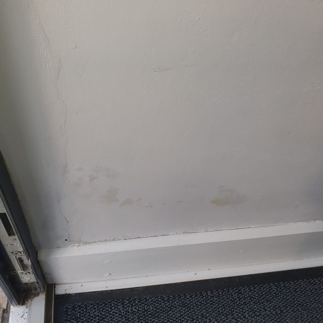 Allied Damp Solutions