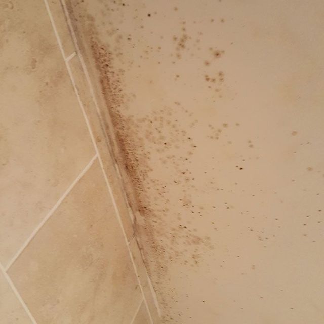 Mould In A Bathroom