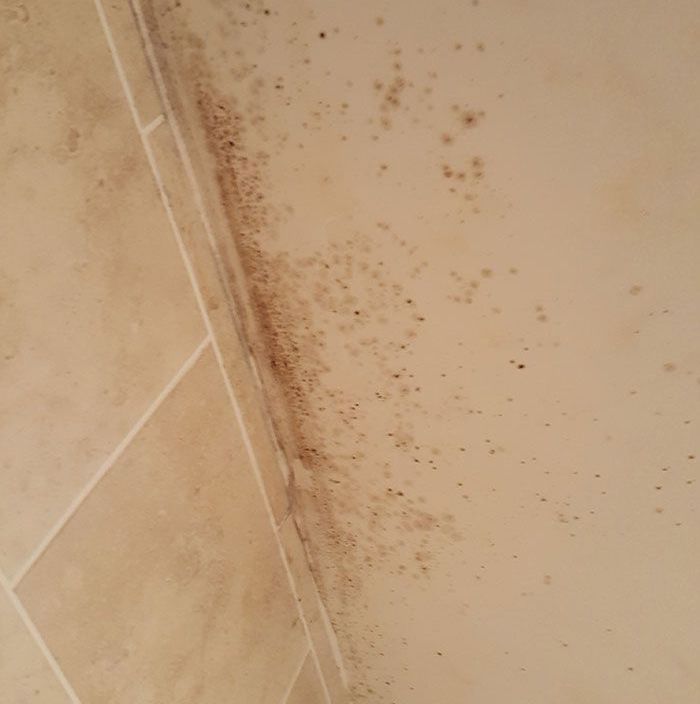 Mould in Tiles and Ceiling