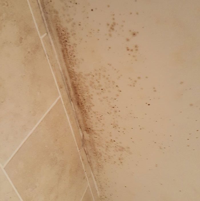 Mould in Tiles and Ceiling