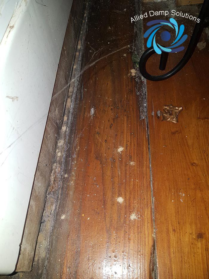 Allied Damp Solutions
