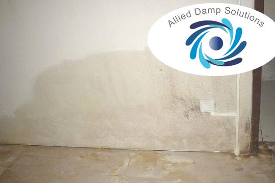 Rising Damp