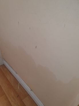 Allied Damp Solutions
