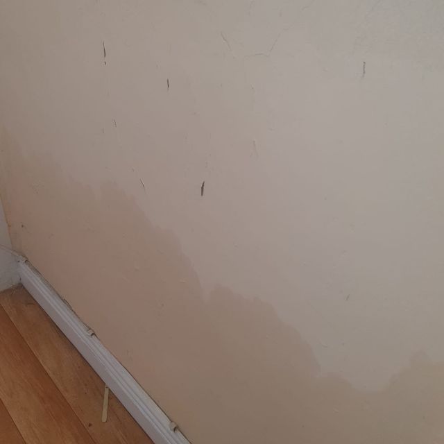 Allied Damp Solutions