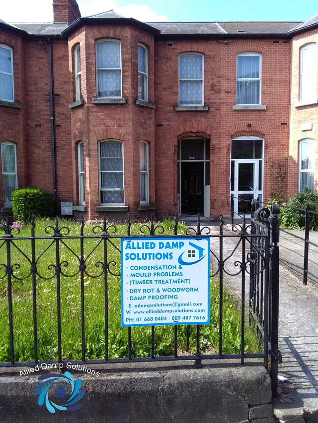 Damp Proofing Dublin 1