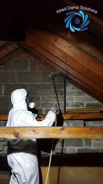 Woodworm Treatment 2 Mount Carmel Road Dublin 6