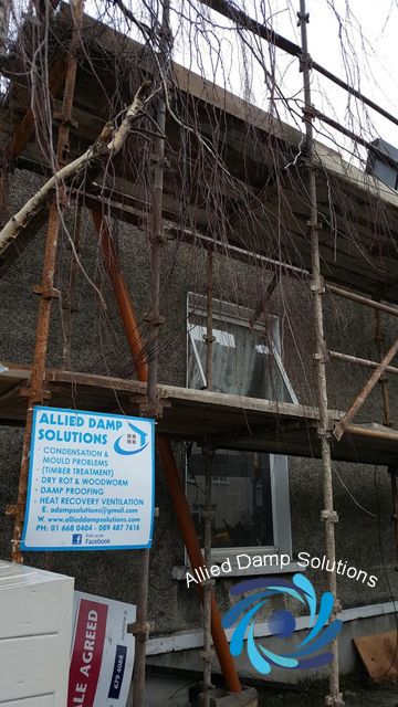 Damp Proofing Rathmines Dublin 6