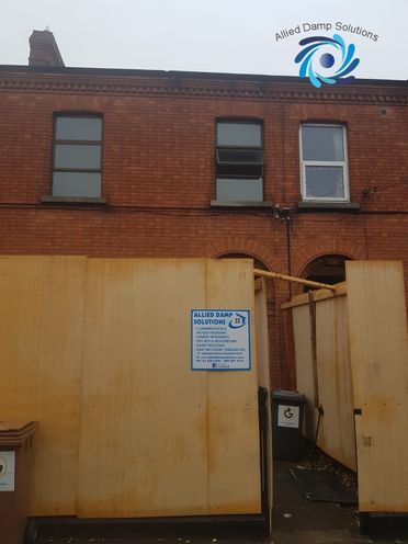 Wood-Worm Treatment Dublin 1