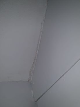 Allied Damp Solutions
