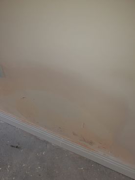 Allied Damp Solutions