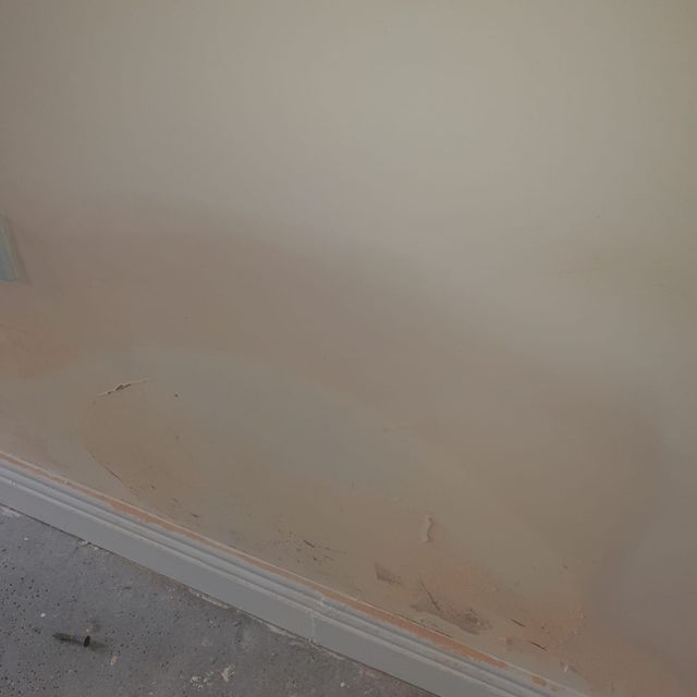 Allied Damp Solutions