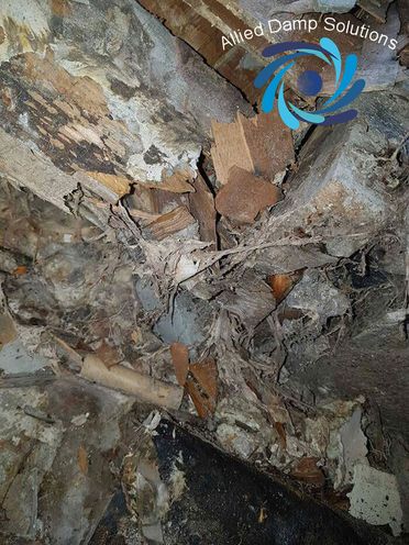 Dry Rot In Old Buildings