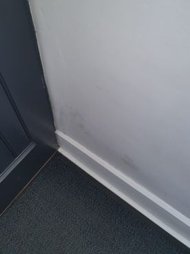 Allied Damp Solutions