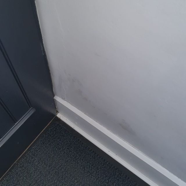 Allied Damp Solutions