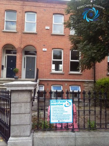 Dry Rot Eradication South Circular Road