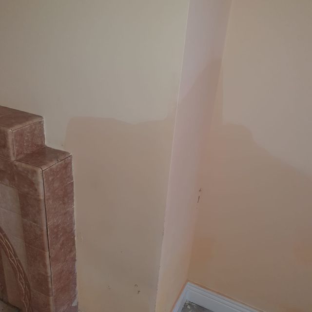 Allied Damp Solutions