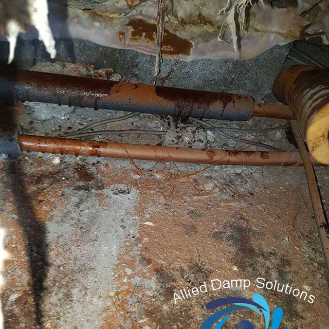 Dry Rot Due To Leaking Pipes