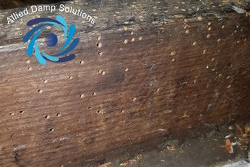 Woodworm Treatment Dublin