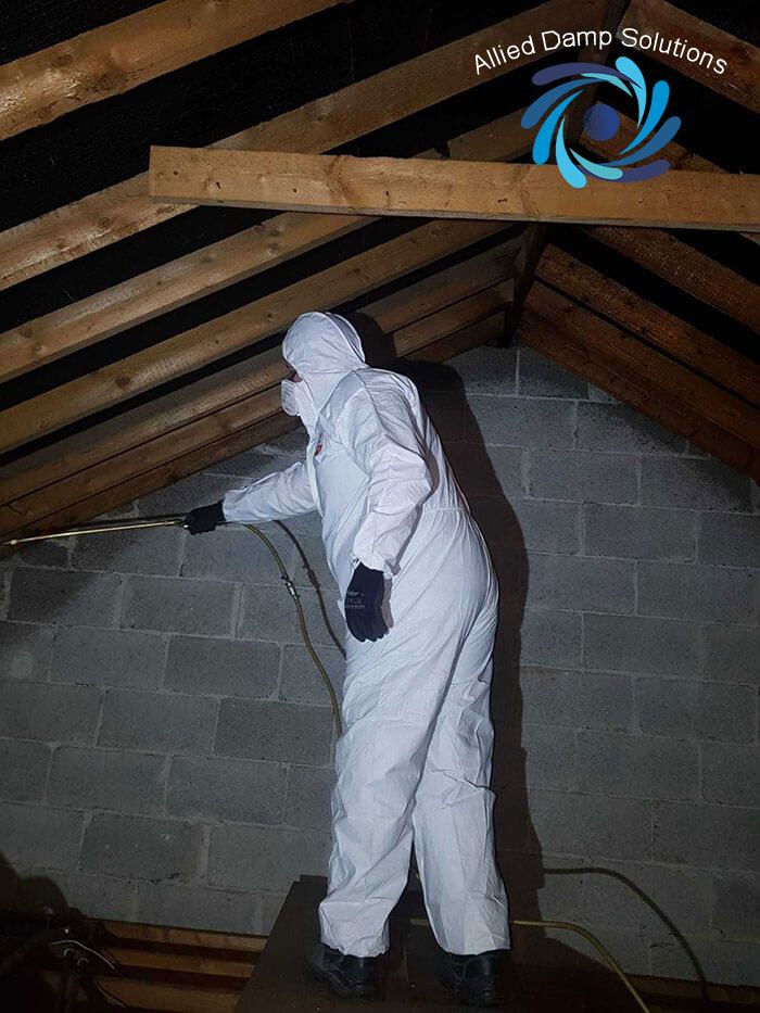 Woodworm Treatment Dublin 