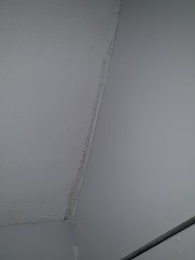 Allied Damp Solutions