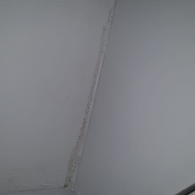 Allied Damp Solutions